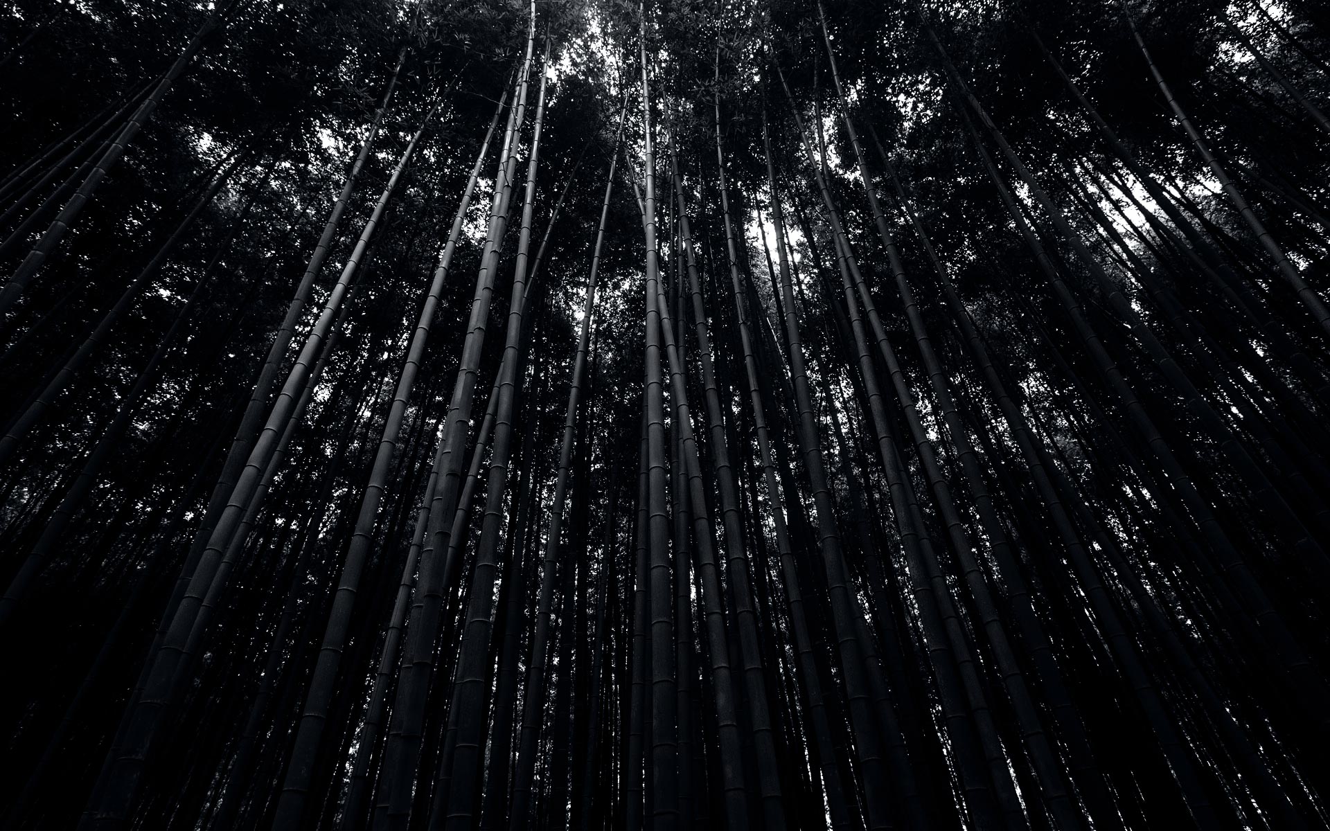 background-img