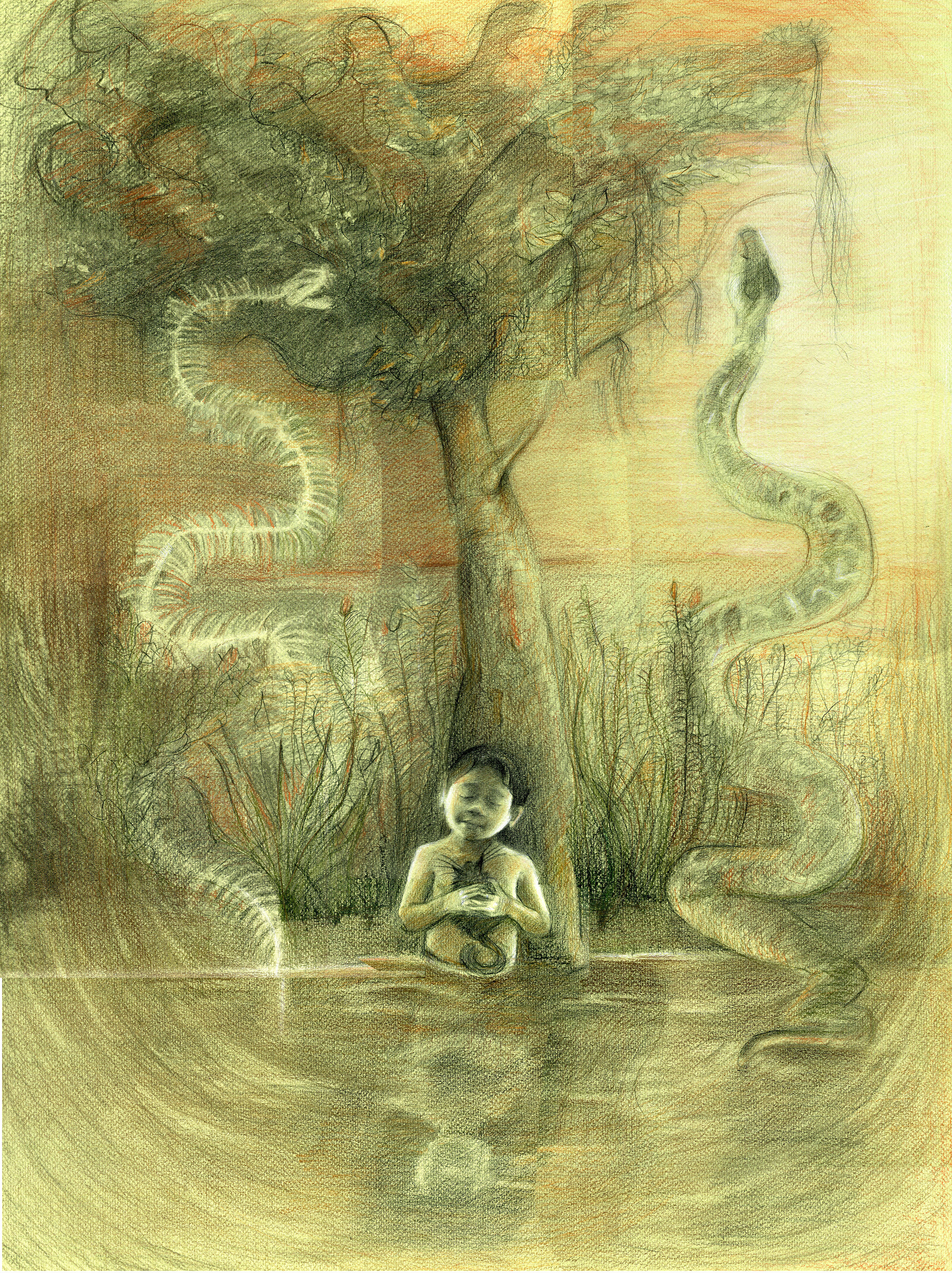 El Quebrachal